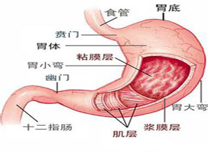 巨胃窦症的原因_巨胃窦症的表现_巨胃窦症的治疗方法_症状查询_久久