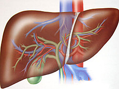 肝脏血管瘤图集