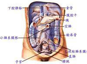 弥漫性腹部骨化