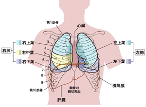 吸收不良综合征