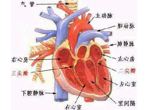 心脏穿透性损伤