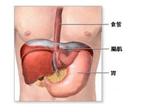 逐渐加重的右侧腹痛，伴厌食恶心